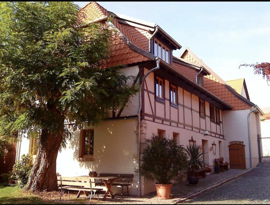 Pension Robinienhof Schadeleben Екстер'єр фото